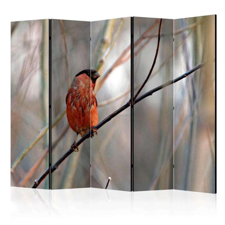 Room Divider Bullfinch in the Forest II (5-piece) - red bird against trees