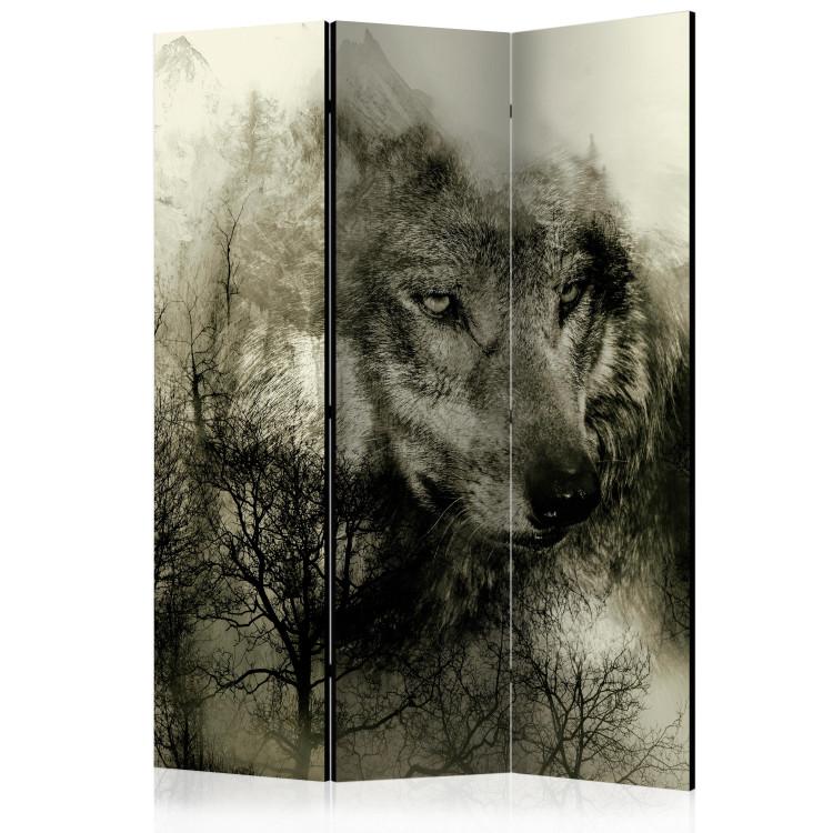 Room Divider Predator from the Mountains (Beige) (3-piece) - gray wolf among tree crowns