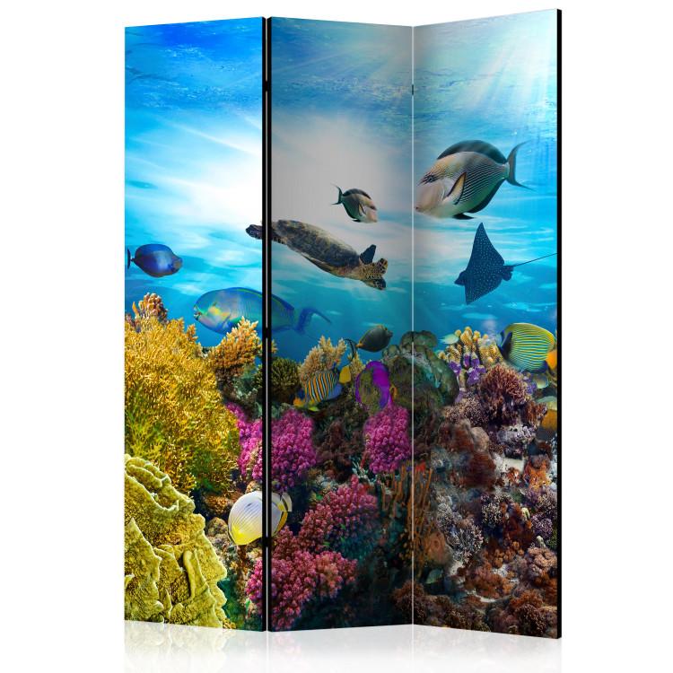 Room Divider Colorful Reef (3-piece) - fish and marine plants against an ocean backdrop
