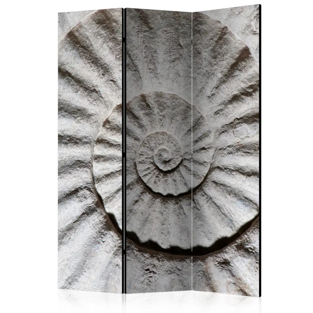 Room Divider Screen Shell (3-piece) - unique abstraction in white-gray ...