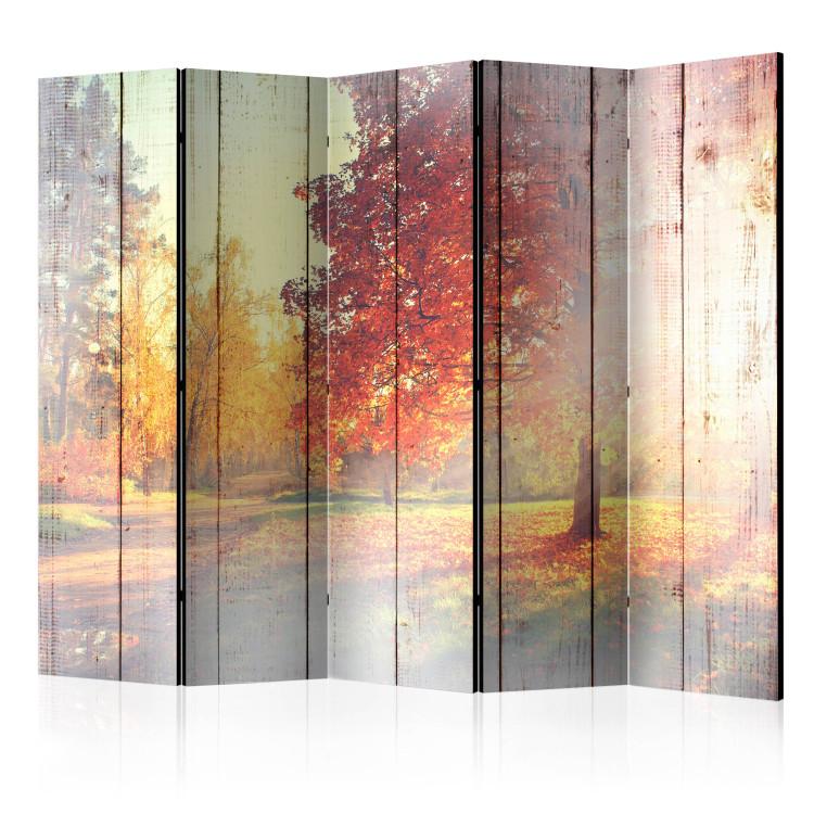 Room Divider Autumn Sun II (5-piece) - landscape of trees against a wooden background