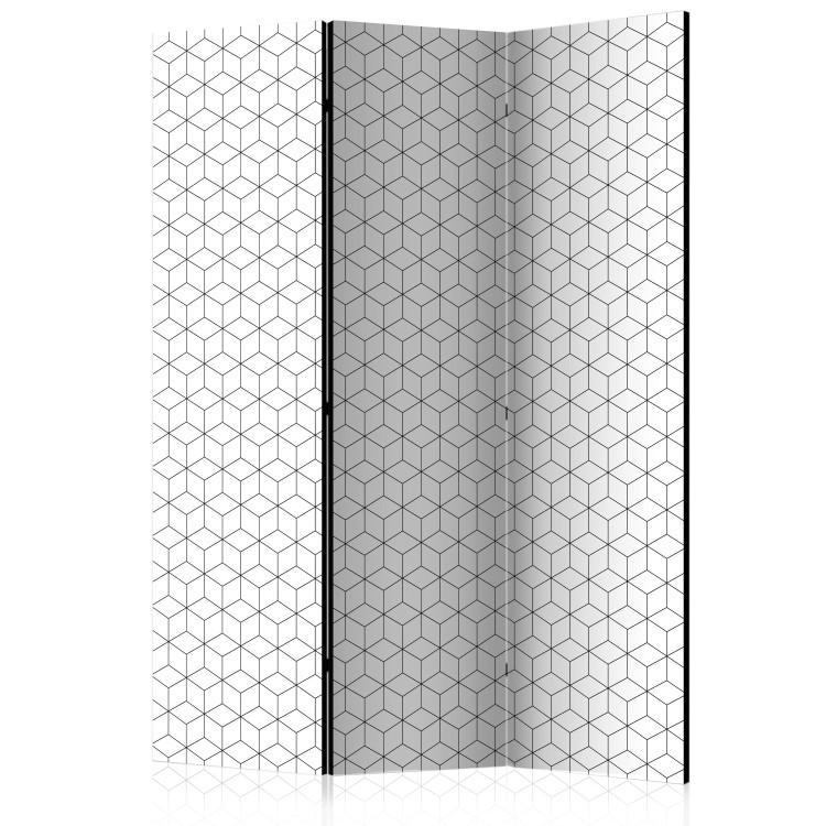 Room Divider Cubes - Texture (3-piece) - background in a simple geometric pattern
