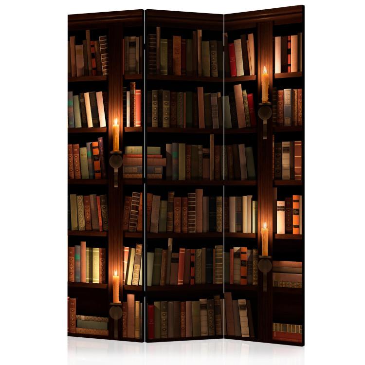 Room Divider Bookshelves (3-piece) - composition with a wooden bookshelf