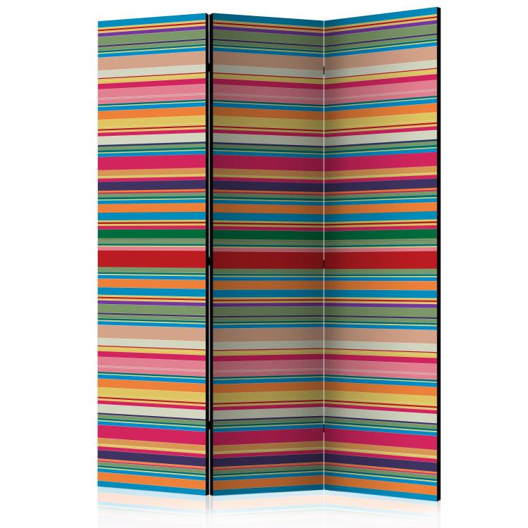 Room Divider Muted Stripes (3-piece) - composition with simple colorful stripes