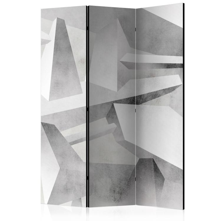 Room Divider Frozen Wings (3-piece) - geometric gray background in 3D form