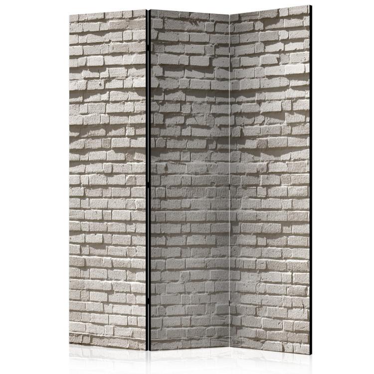 Room Divider Brick Wall: Minimalism (3-piece) - composition in gray background