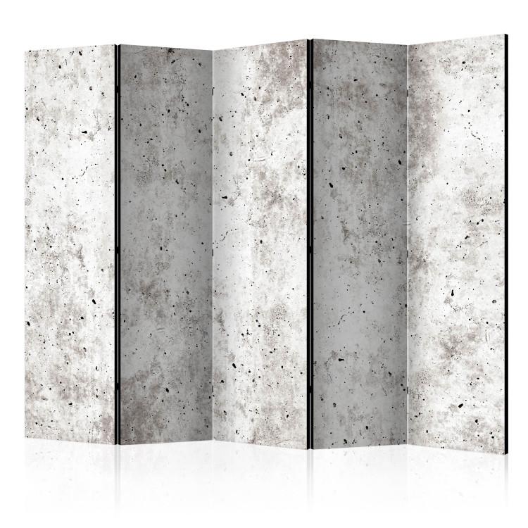 Room Divider Urban Style: Concrete II (5-piece) - simple composition in gray background