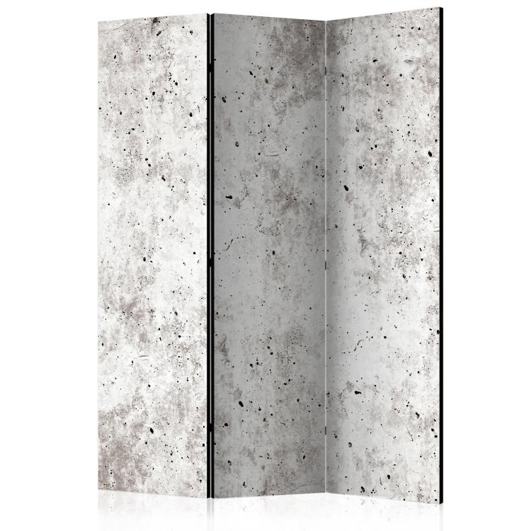 Room Divider Urban Style: Concrete [Room Dividers]