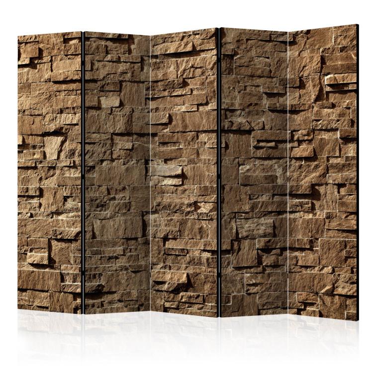Room Divider Stone Melody II (5-piece) - unique composition in brown background