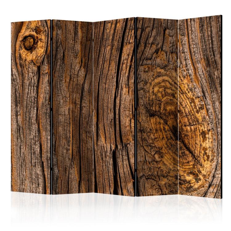 Room Divider Old Tree II (5-piece) - simple brown-colored composition