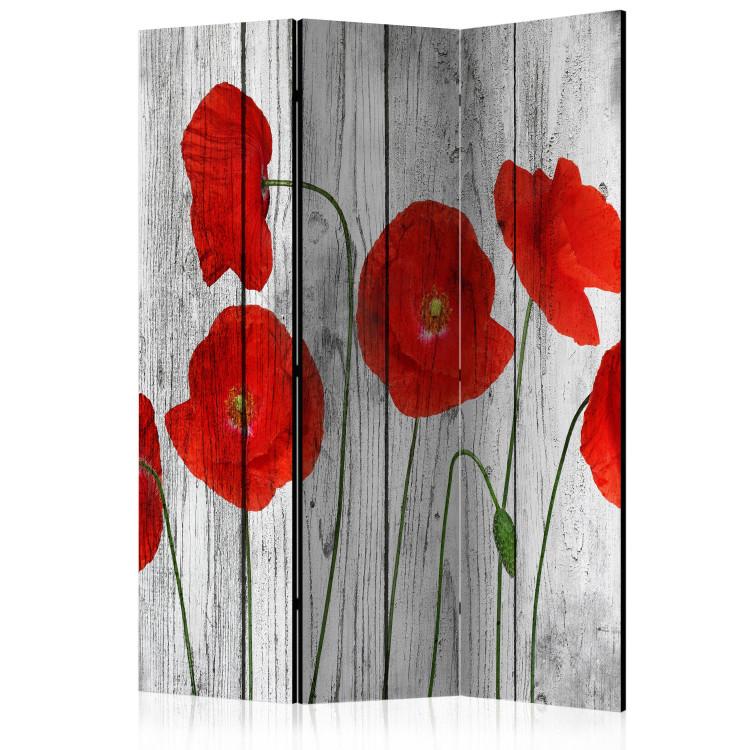Room Divider Tale of Red Poppies (3-piece) - field flowers on wood