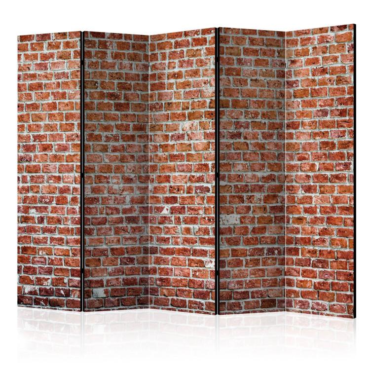 Room Divider Red Rock II (5-piece) - simple composition with brick texture