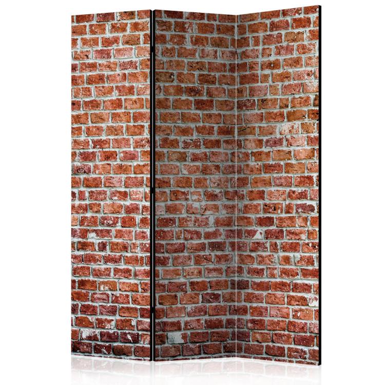 Room Divider Red Rock (3-piece) - simple composition with brick texture