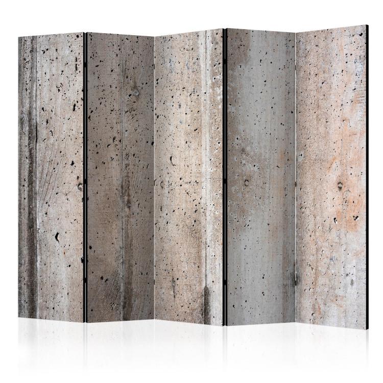 Room Divider Old Concrete II (5-piece) - industrial composition in gray background
