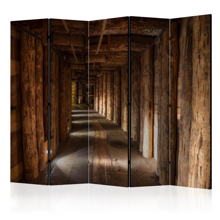 Room Divider Wieliczka II (5-piece) - underground tunnel amidst brown wood