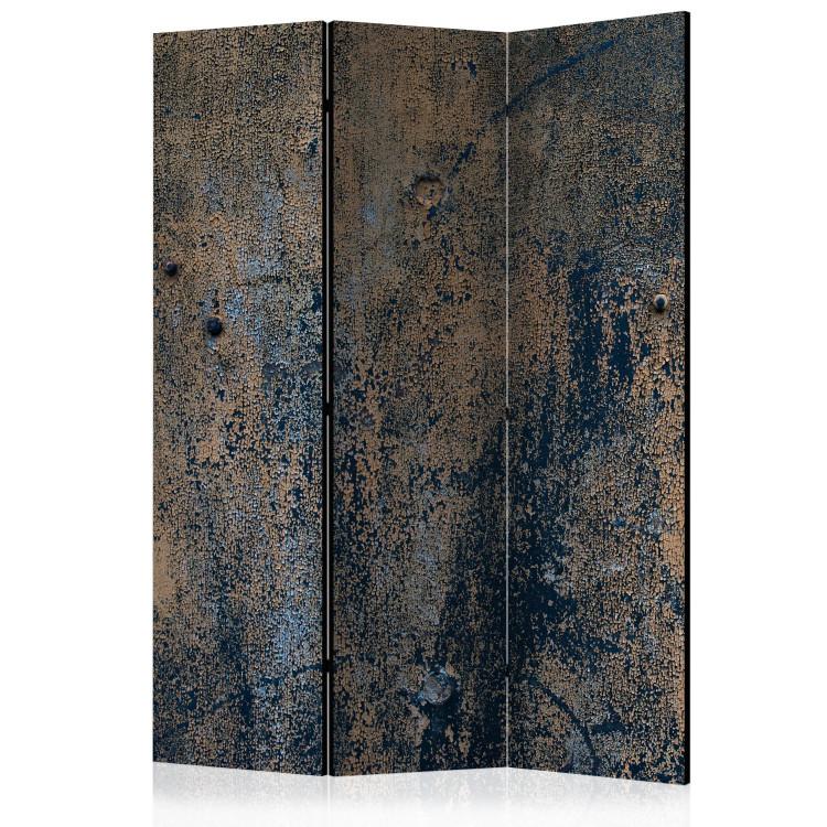 Room Divider Prehistoric Dance (3-piece) - composition with rust texture