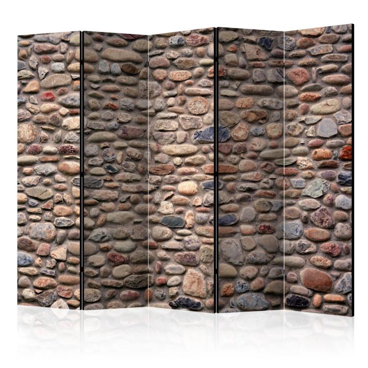 Room Divider Stone Varieties II - texture of colorful stones with gray background