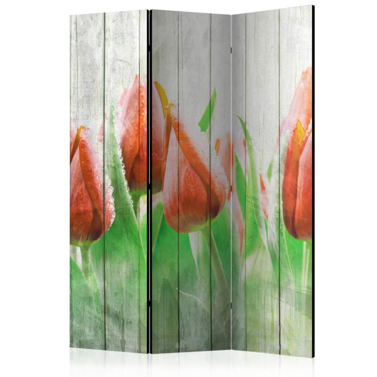 Room Divider Red Tulips on Wood - flowers on white wooden fence