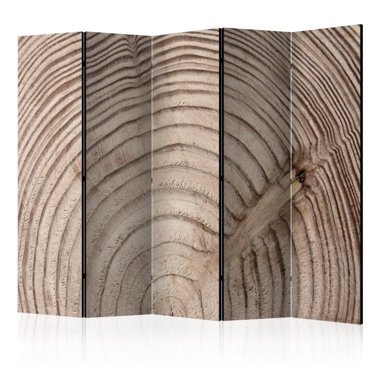 Room Divider Wood Grain II - light texture of brown wood with distinct grains
