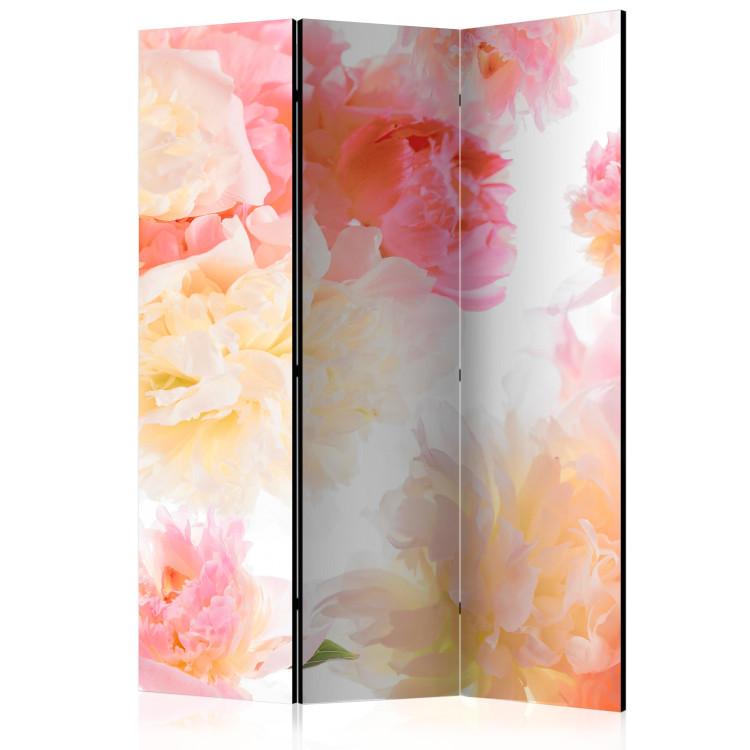 Room Divider Pastel Peonies - bouquet of pink and yellow flowers on a white background