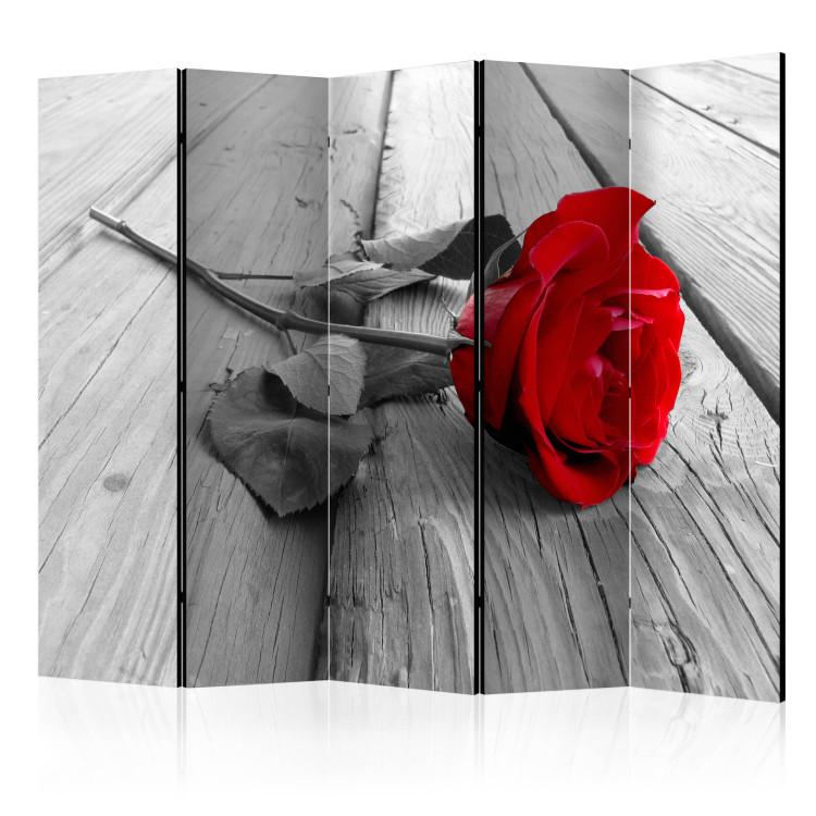 Room Divider Abandoned Rose II - red rose flower on a gray wooden floor