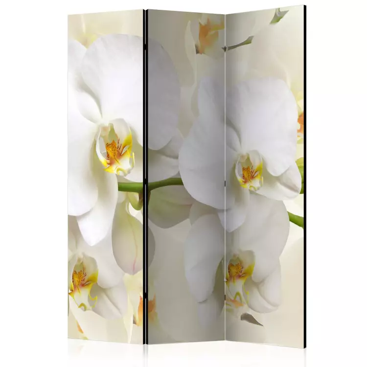 Room Divider Orchid Branch - white lily flowers on a bright composition background