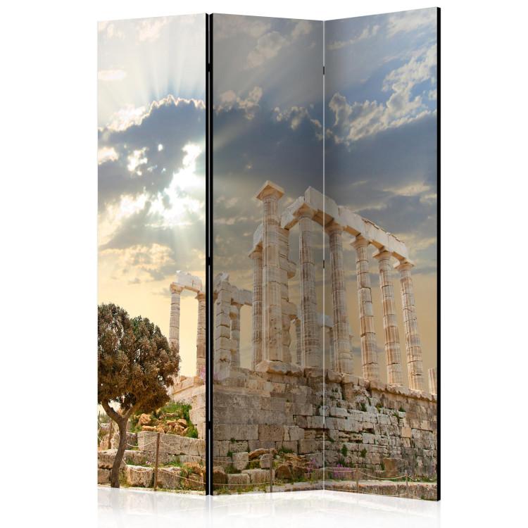 Room Divider Greek Acropolis - tree and historic architecture against bright sky