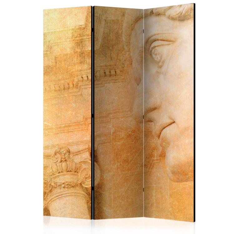 Room Divider Greek God - human sculpture against columns in a retro motif