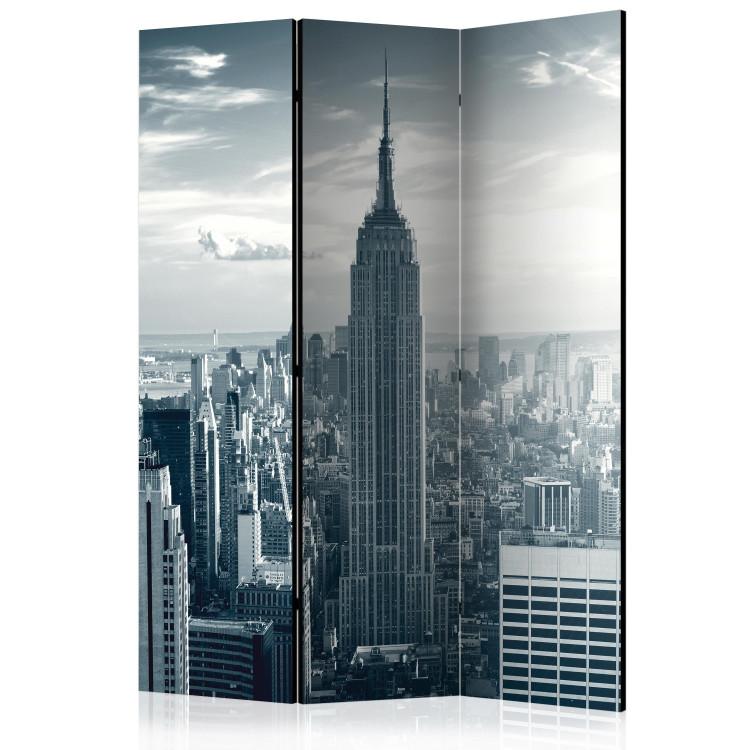 Room Divider Dawn View of Manhattan, New York - skyscrapers depicted from a bird's eye view
