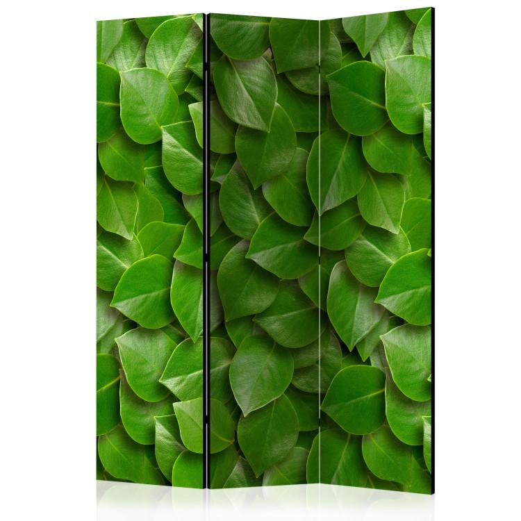 Room Divider Mysterious Garden - plant texture composition with green leaves