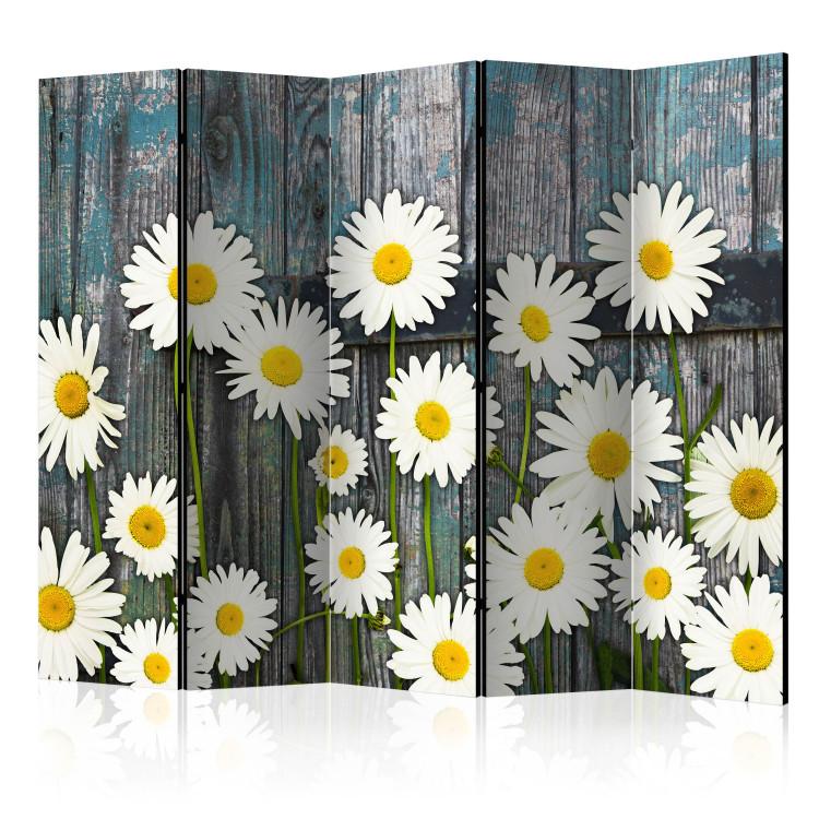 Room Divider Return to Innocence II - composition of white daisies on a wooden plank background