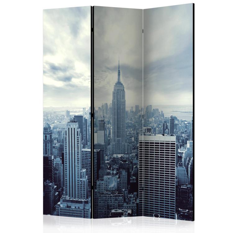 Room Divider Blue York - panorama of New York City architecture against a clear sky