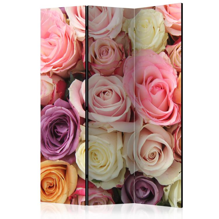 Room Divider Pastel Roses - romantic and colorful landscape of a bouquet of pastel roses