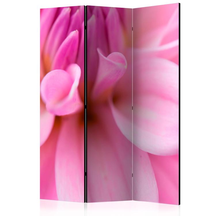 Room Divider Floral Petals - Dahlia - romantic composition of a pink flower