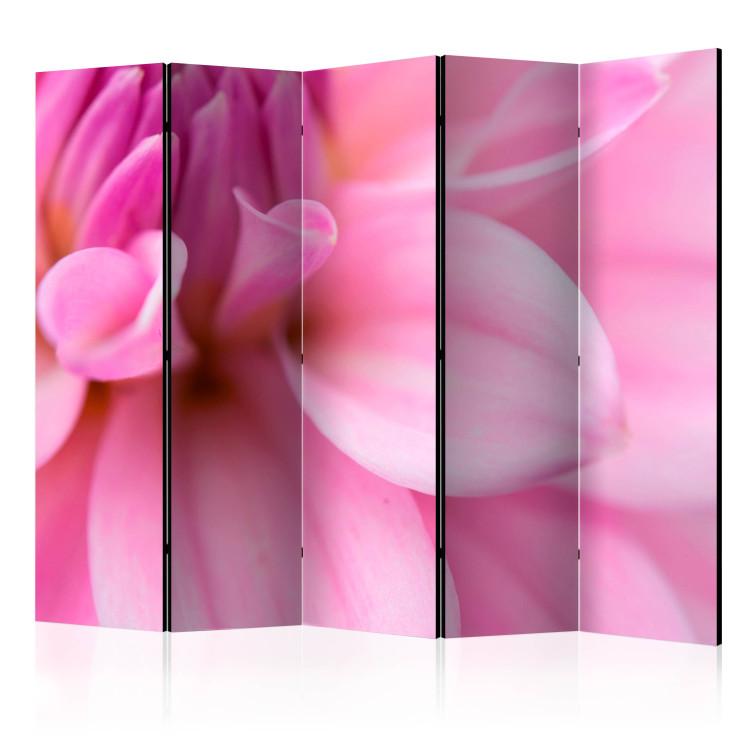 Room Divider Floral Petals - Dahlia II - velvety and pink romantic flowers