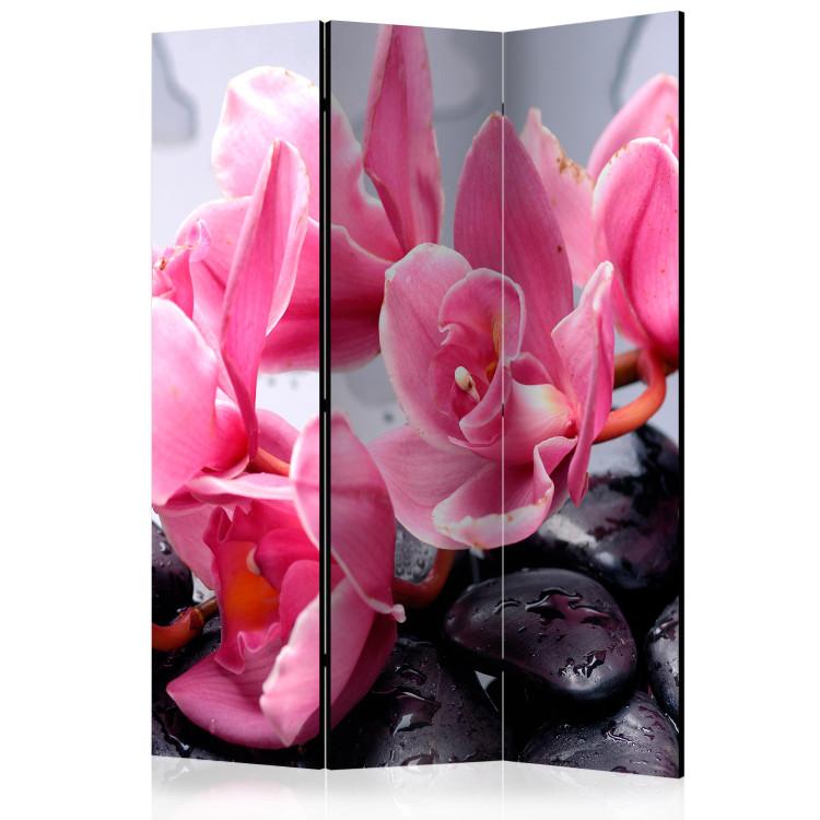 Room Divider Orchid Flowers and Stones - pink lilies and black stones in a zen style