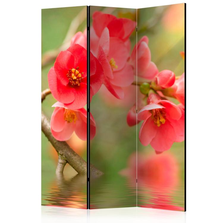 Room Divider Azalea Reflected in the Water - red flower composition above water