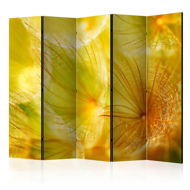 Room Divider Delicate Dandelion Puffs II - whimsical yellow flower abstraction