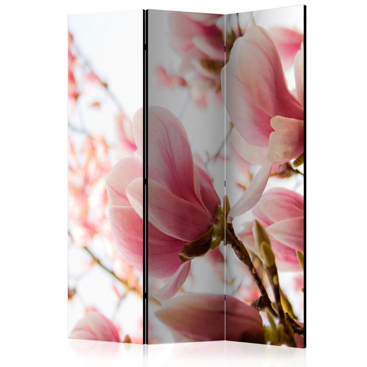 Room Divider Pink Magnolia - plant with pink flowers against a bright sky