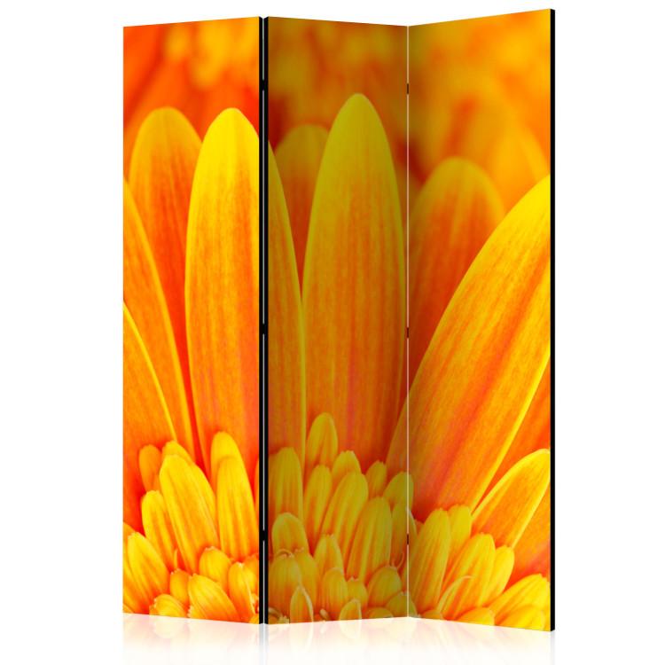 Room Divider Yellow Gerbera - plant composition of intensely yellow sunflower