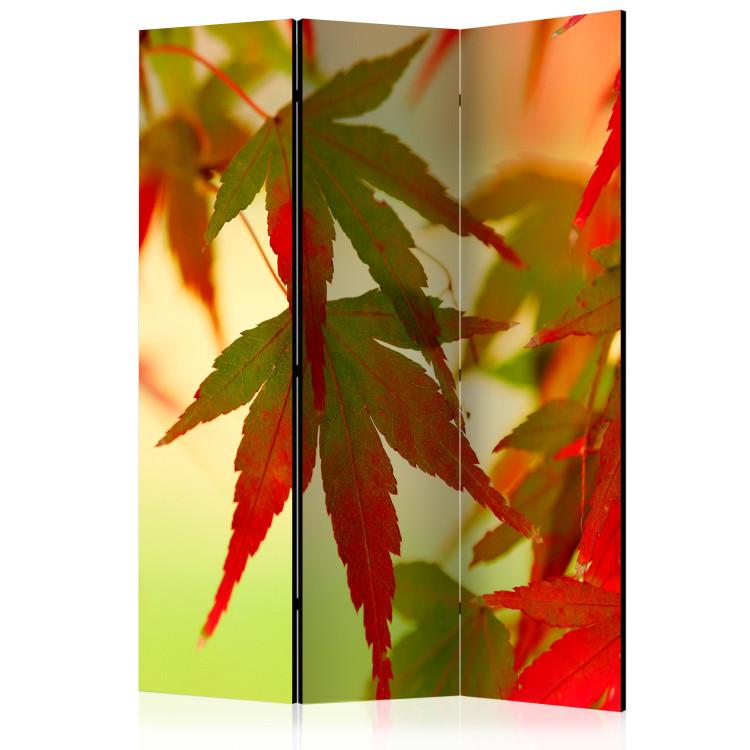 Room Divider Colorful Leaves - tree with red-green leaves on a light background