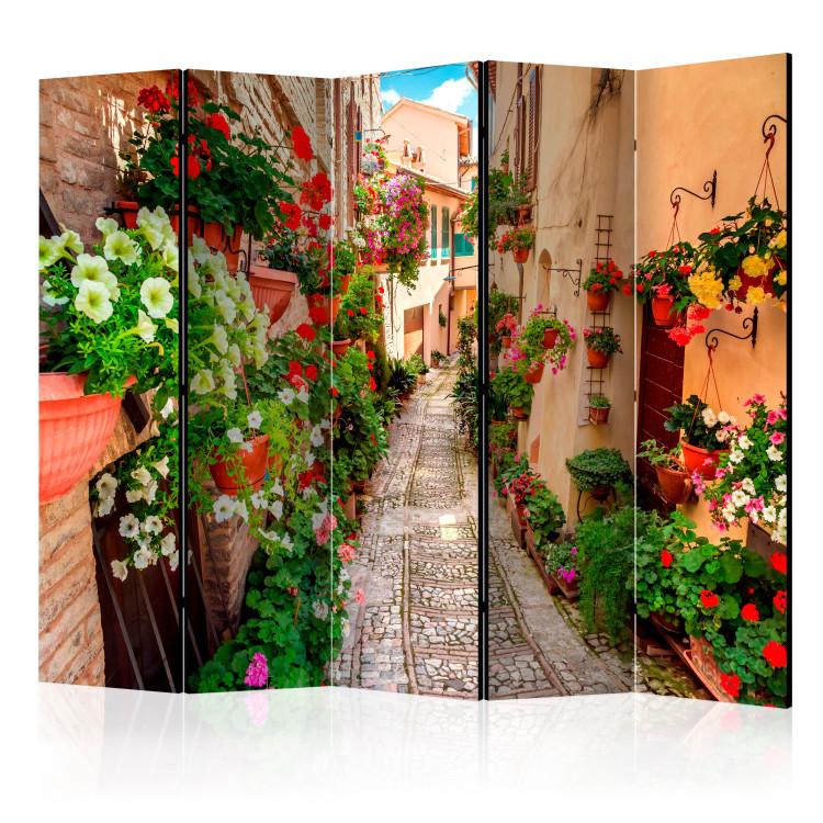 Room Divider Alley in Umbria II - street in Italy with architecture and flowers