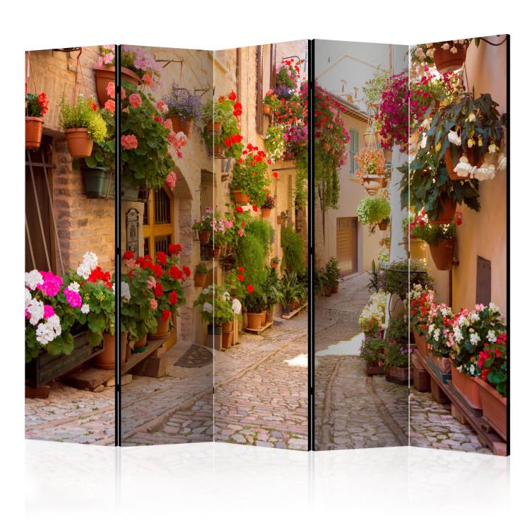 Room Divider Alley in Spello (Italy) II - street with brick buildings and flowers