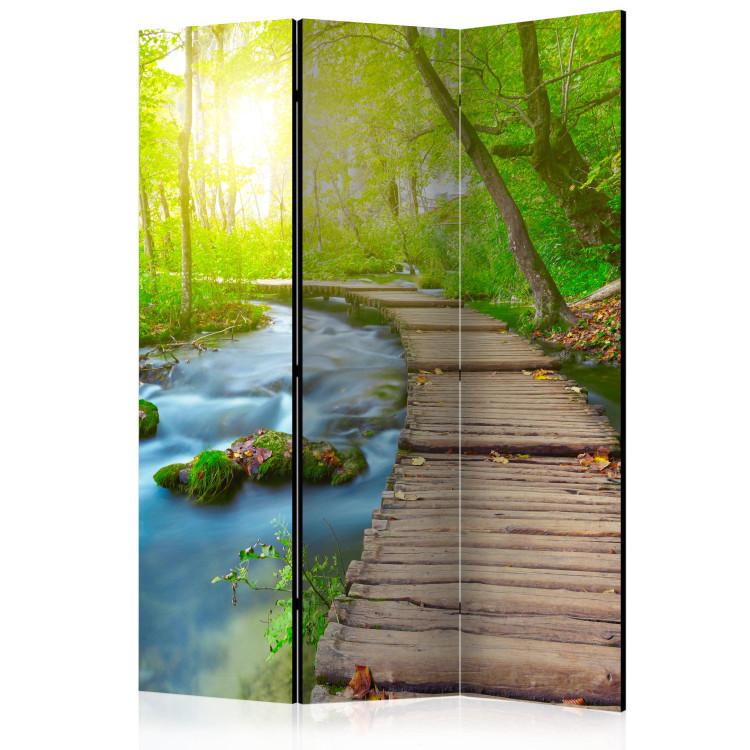 Room Divider Green Forest - landscape of a wooden bridge in the forest against the sunlight