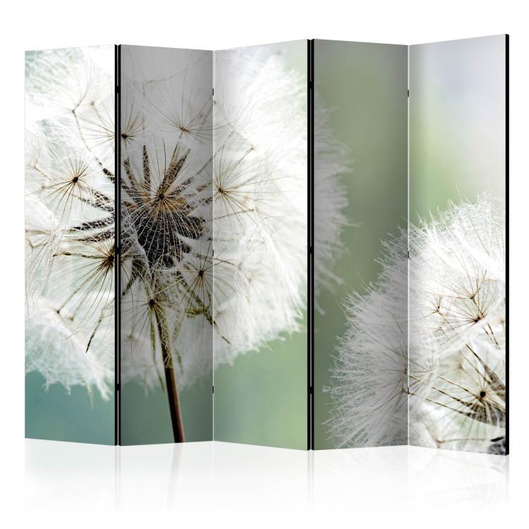 Room Divider Two Dandelions II - plants with white flowers on a light green background