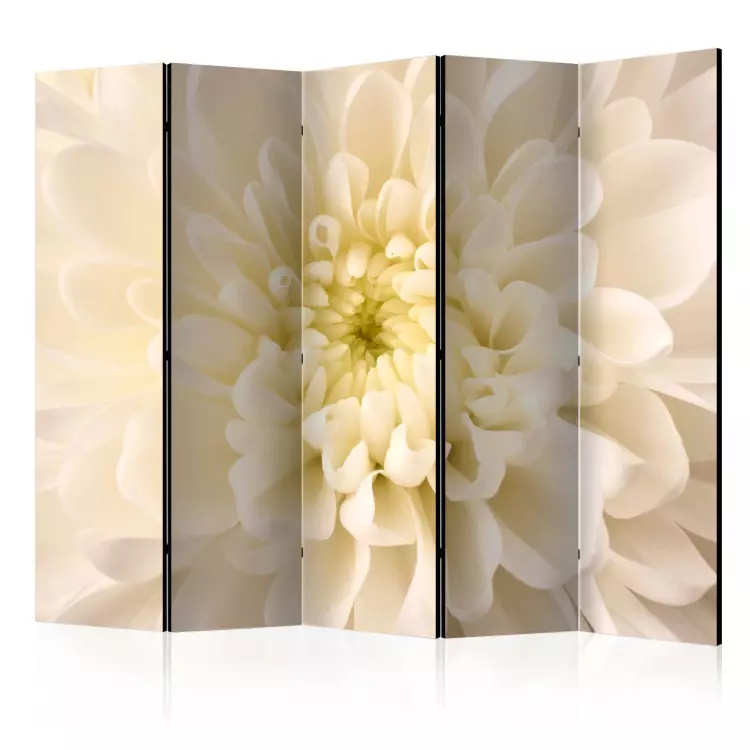 White Dahlia II - floral composition of a flower with light yellow petals
