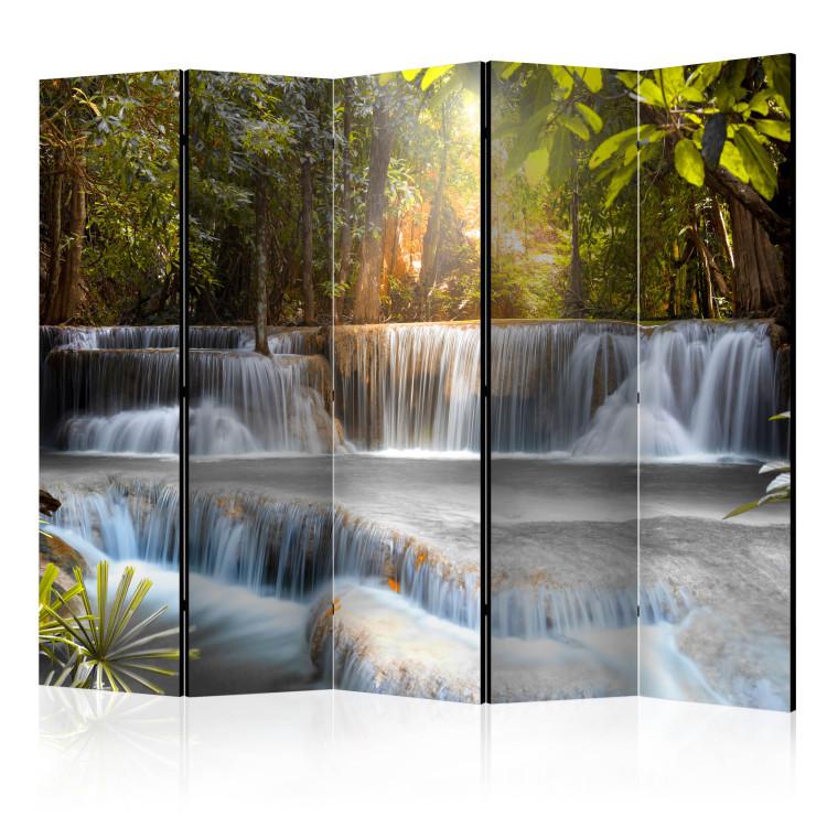 Room Divider At Dawn II - landscape of a waterfall and tropical jungle forest