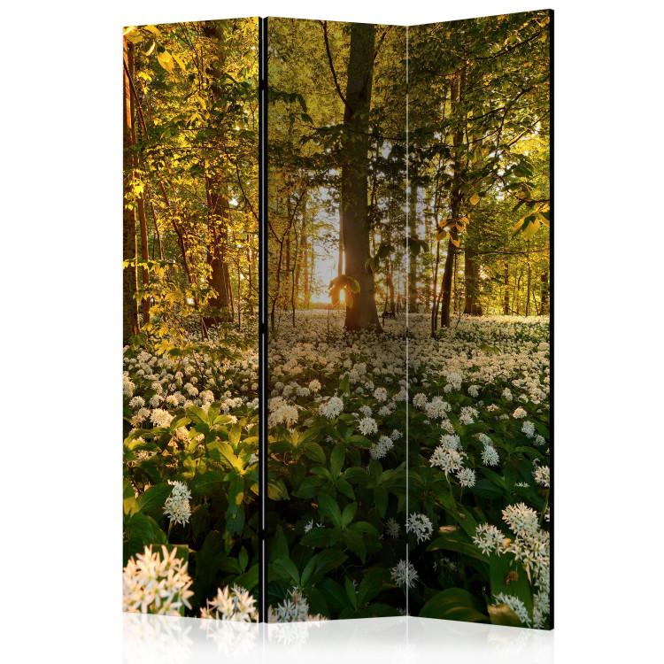 Room Divider Forest Flora - meadow with flowers in a forest composition in sunlight