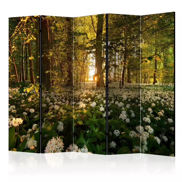 Room Divider Forest Flora II - meadow with white flowers among forest trees in sunlight