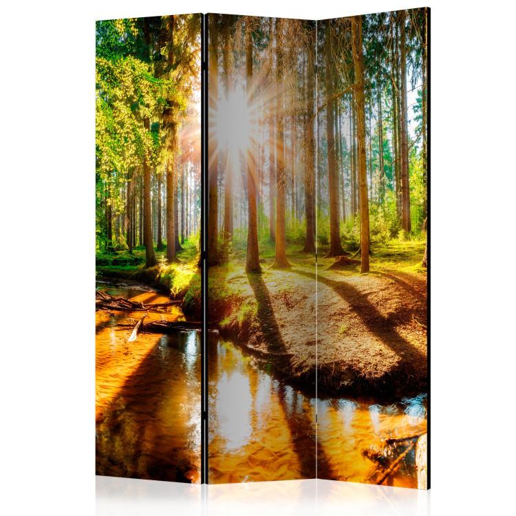 Room Divider Enchanted Forest - river landscape among forest trees in sunlight
